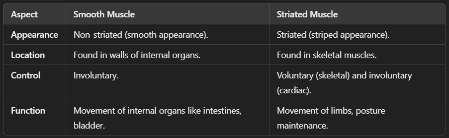 Difference Between Smooth and Striated Muscle (Muscular Tissue)